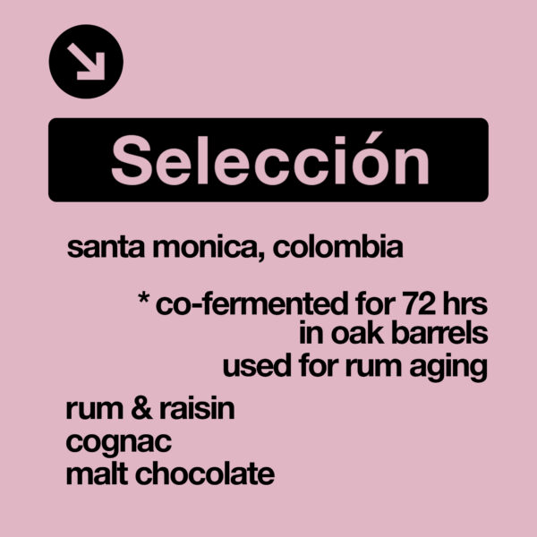 Rum Co-Ferment