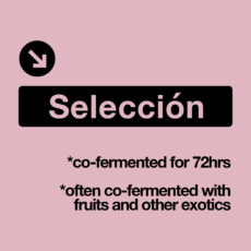 Selección