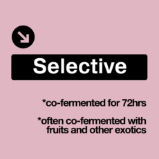 Selección