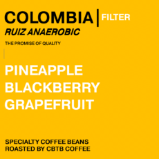 COLOMBIA - RUIZ ANAEROBIC