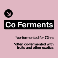 Co Ferments