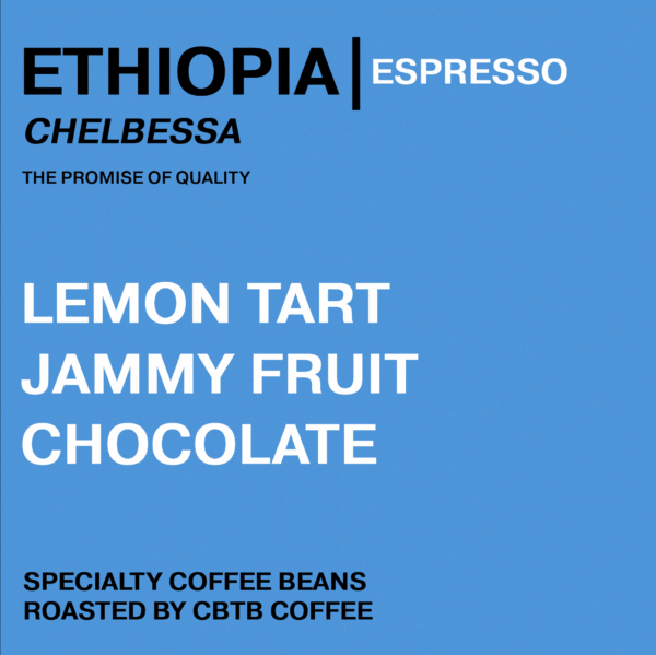 ETHIOPIAN - CHELBESSA